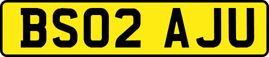 BS02AJU