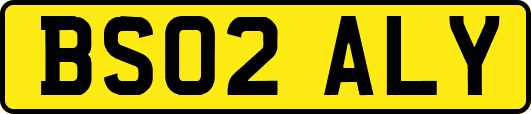 BS02ALY