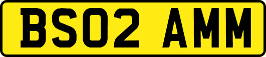 BS02AMM