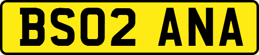 BS02ANA