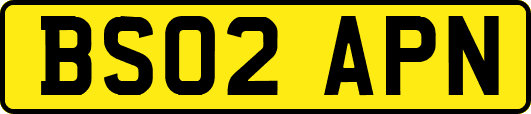 BS02APN