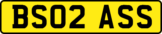 BS02ASS