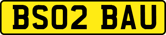 BS02BAU