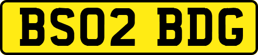 BS02BDG