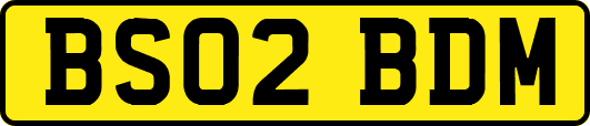 BS02BDM