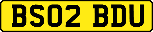 BS02BDU