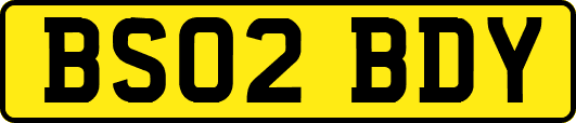 BS02BDY