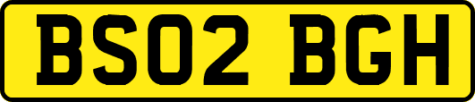 BS02BGH