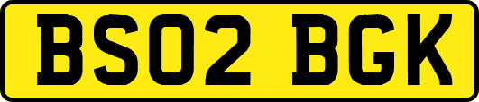 BS02BGK