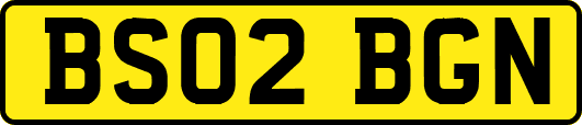 BS02BGN