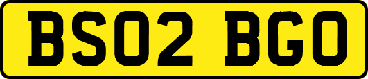 BS02BGO