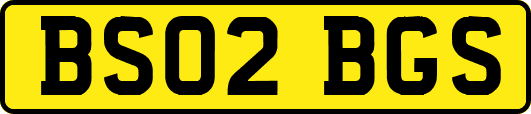 BS02BGS