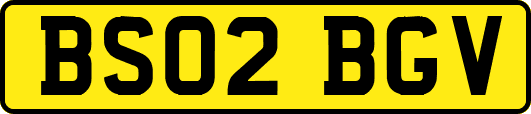 BS02BGV