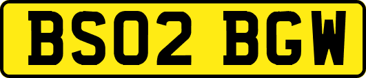 BS02BGW