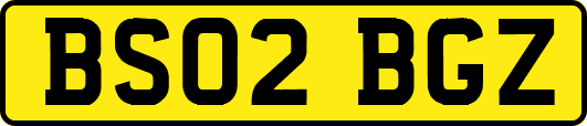 BS02BGZ