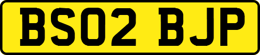 BS02BJP