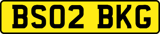 BS02BKG