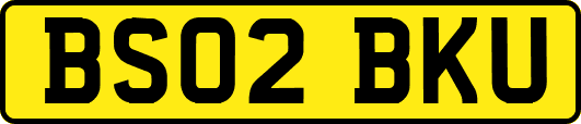 BS02BKU