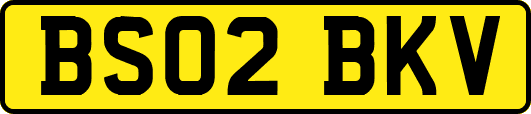 BS02BKV