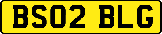 BS02BLG