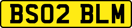 BS02BLM