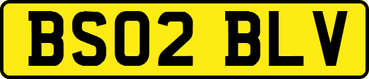 BS02BLV