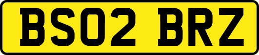 BS02BRZ