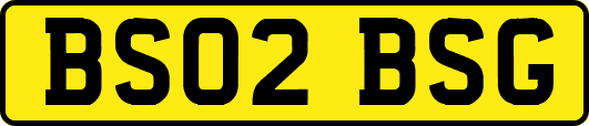 BS02BSG