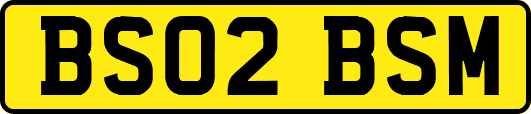 BS02BSM