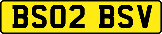 BS02BSV