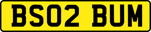 BS02BUM