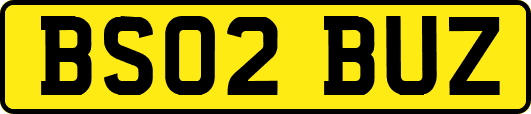 BS02BUZ