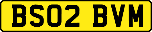 BS02BVM