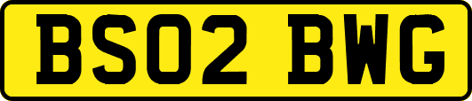 BS02BWG