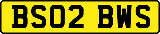 BS02BWS