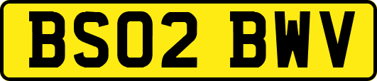 BS02BWV