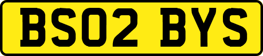 BS02BYS
