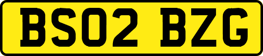 BS02BZG