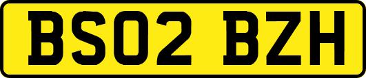 BS02BZH