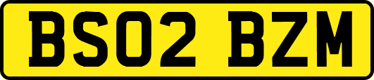 BS02BZM