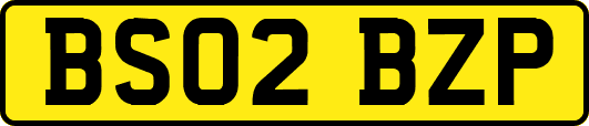 BS02BZP