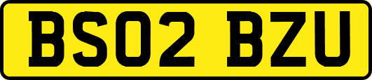 BS02BZU