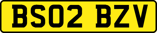 BS02BZV