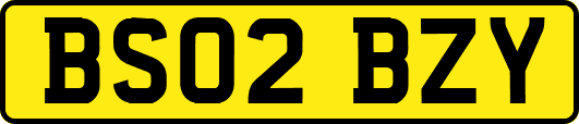 BS02BZY