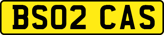 BS02CAS
