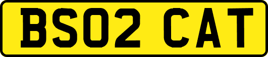 BS02CAT