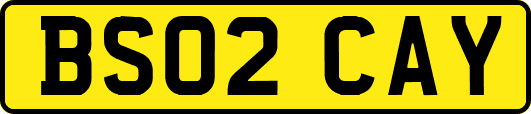BS02CAY