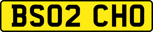 BS02CHO