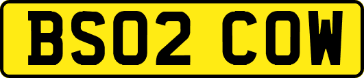 BS02COW