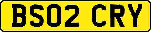 BS02CRY